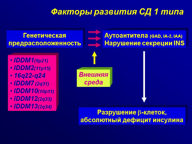 Факторы развития СД 1 типа Генетическая предрасположенность  IDDM1(6p21)  IDDM2(11p15)  16q22-q24 